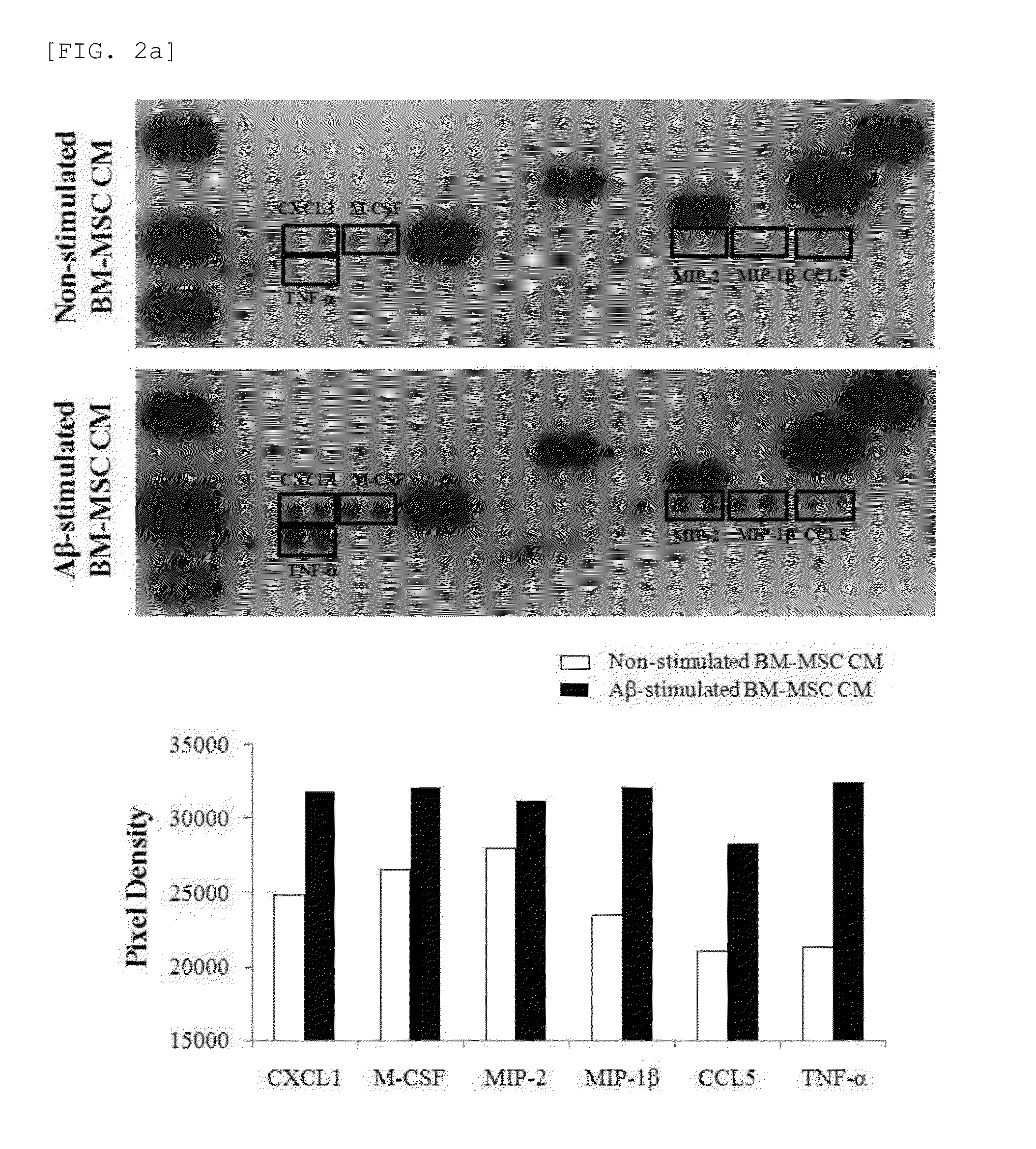 Composition for preventing or treating neurodegenerative diseases containing ccl5