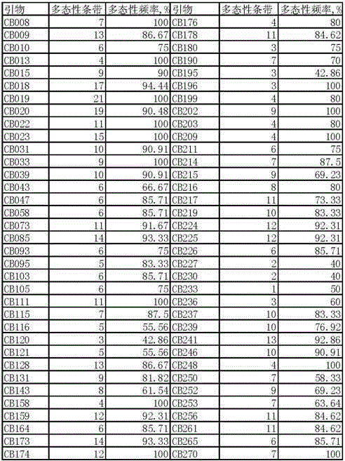 Molecular marking method for major QTL locus qRR4 for rooting rate in cuttage of catalpa bungei