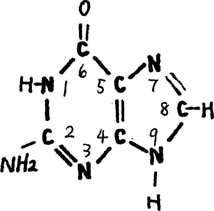 Purine derivative and its prepn process