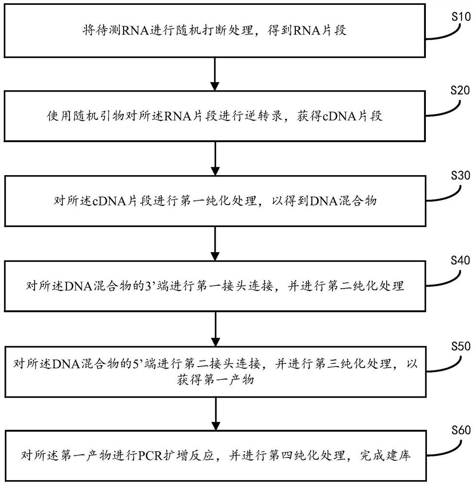 RNA single-stranded library building sequencing method and library ...