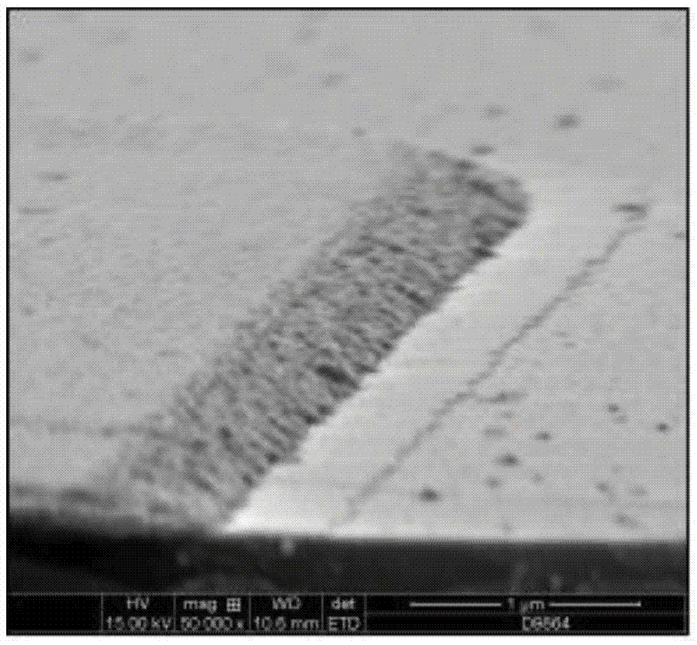 Etching composition containing copper metal layer used for display device and method of etching composition