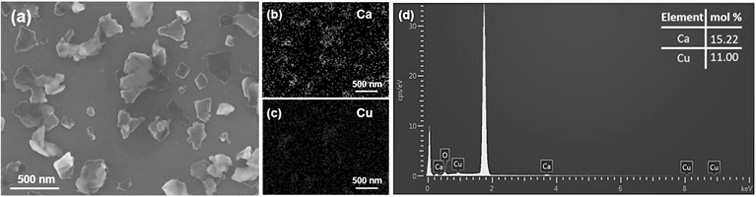 A kind of preparation method and application of calcium cuprate nanosheet