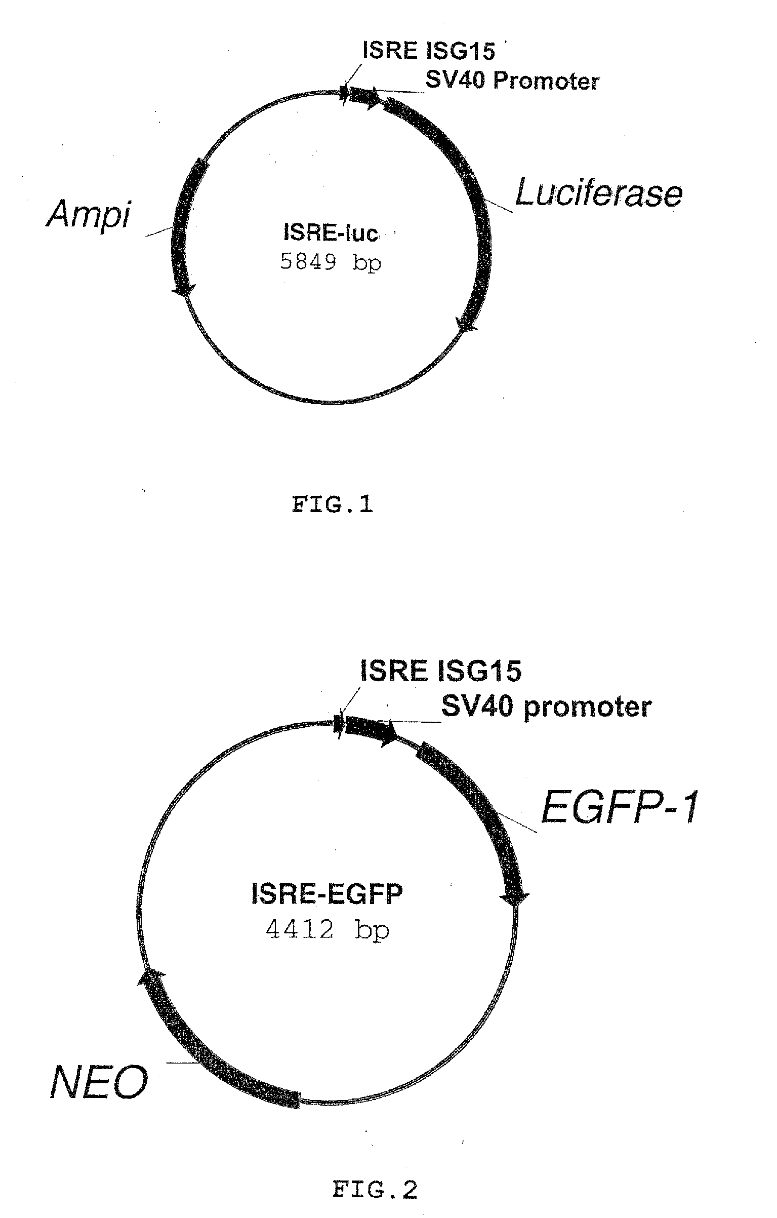 Method for conducting an assay for neutralizing antibodies