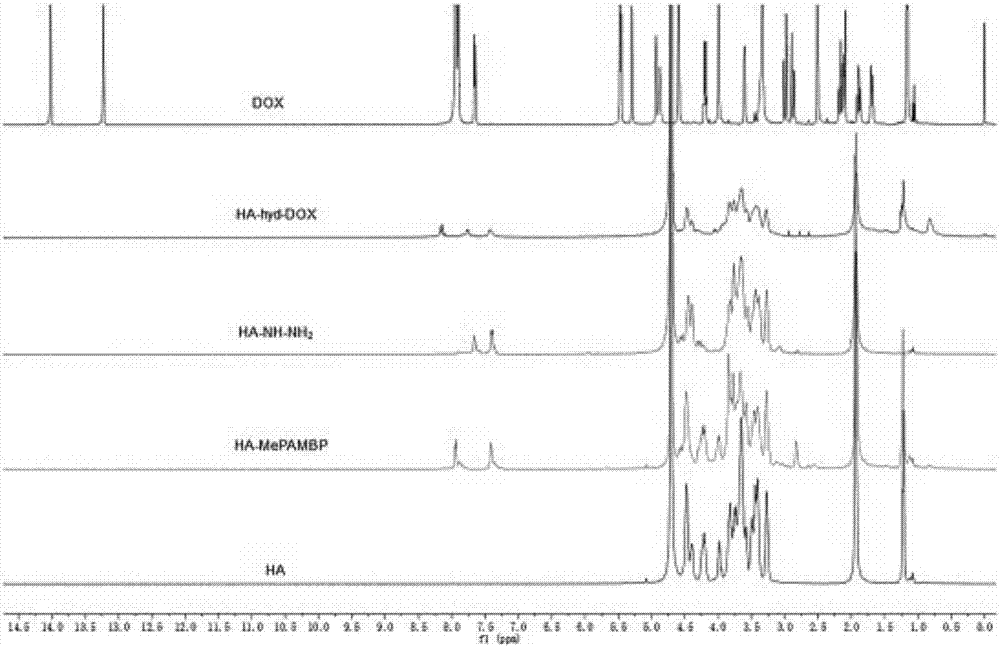 Preparation method and application of pH-sensitive hyaluronic acid-doxorubicin nanometer prodrug