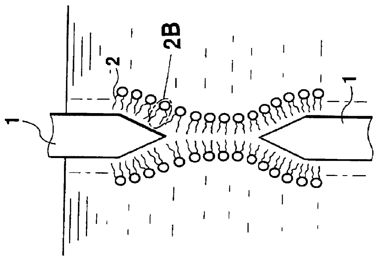Bilayer membrane device