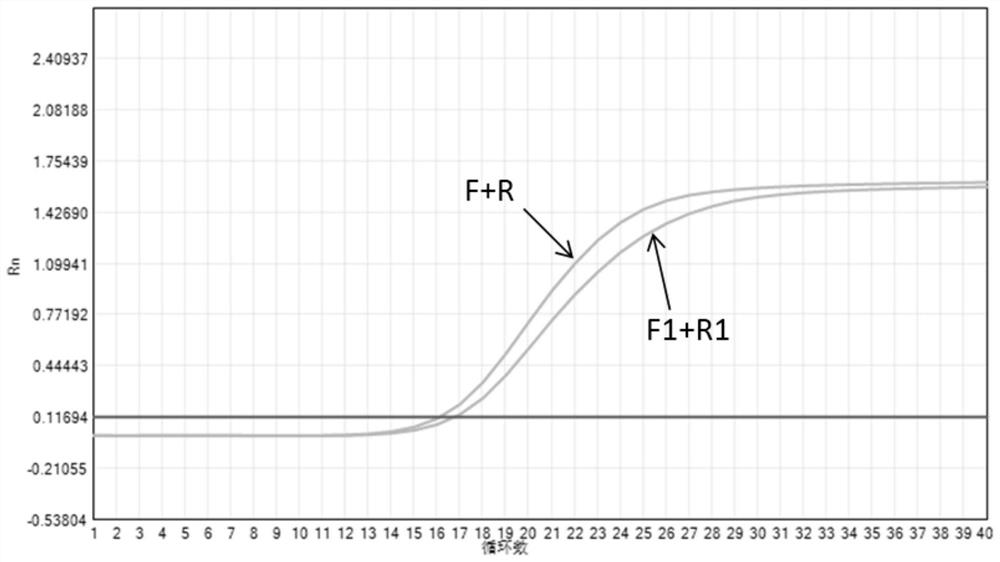 Nucleic acid composition for detecting canine coronavirus and canine parvovirus, kit and application