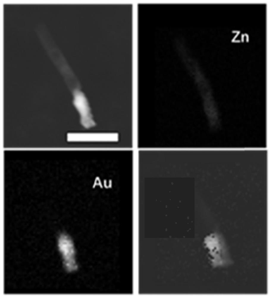 Self-driven Au-Zn nano motor and preparation method and application thereof