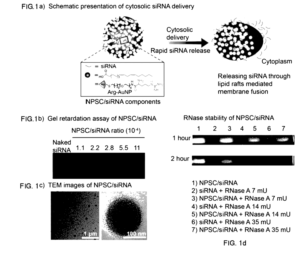 Nanoparticle-stabilized nanocapsules and methods of preparation and use for nucleic acid delivery