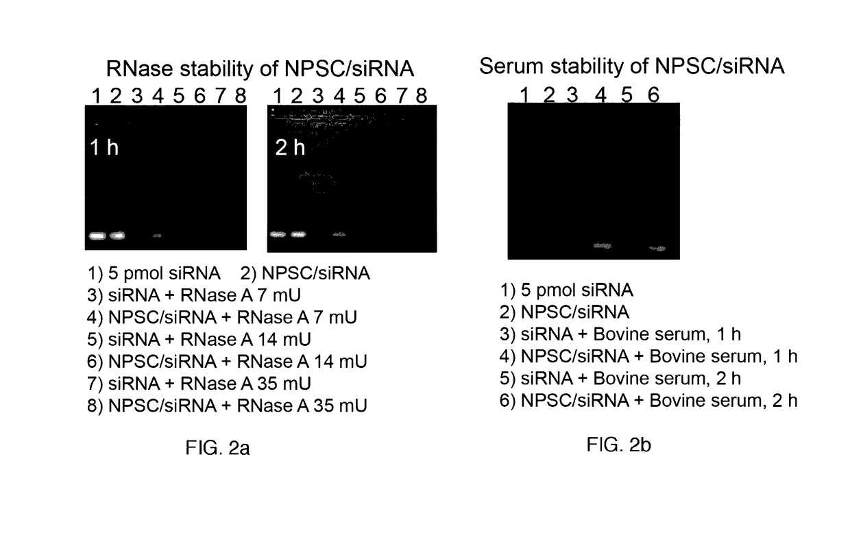 Nanoparticle-stabilized nanocapsules and methods of preparation and use for nucleic acid delivery