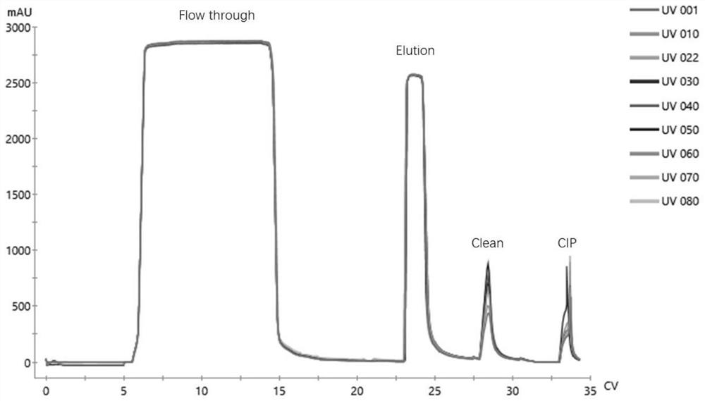 Affinity chromatography medium based on recombinant protein A as well as preparation method and application of affinity chromatography medium