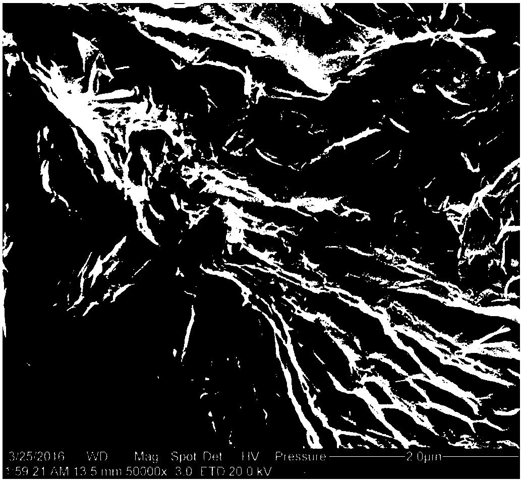 Atom dispersion water oxidation catalyst and preparation and application thereof