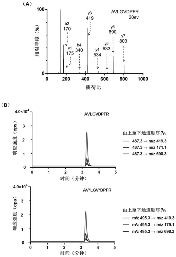 Nucleic acid aptamer-polypeptide complex probe and its preparation method and application