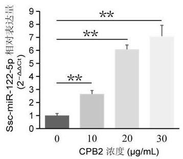 A kind of ssc-mir-122-5p associated with c-type Clostridium perfringens infectious diarrhea in piglets and its application