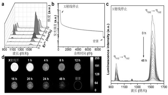 Near-infrared two-zone light-emitting long afterglow nanoprobe based on X-ray excitation, preparation method and application of nanoprobe in living body imaging analysis