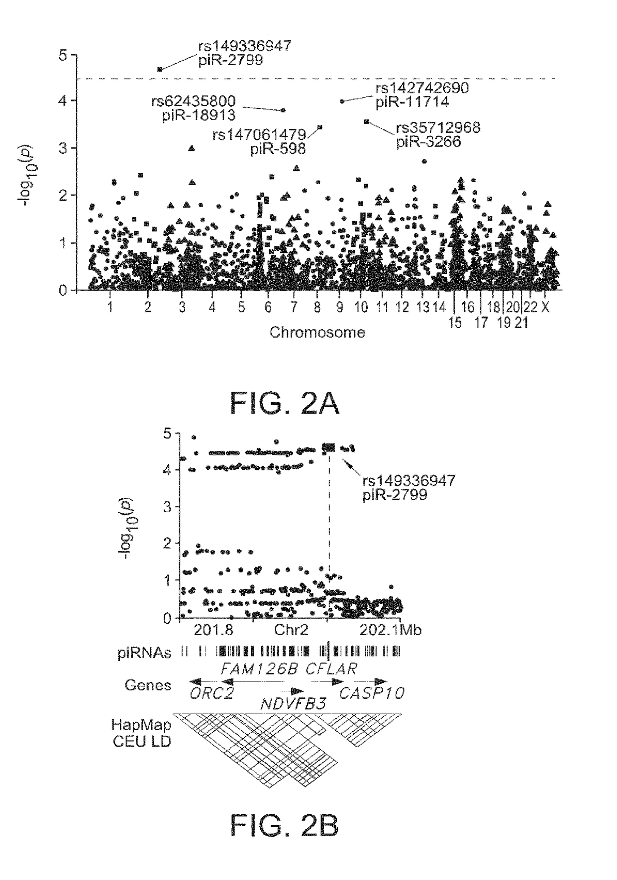 COMPOSITIONS AND METHODS OF USING piRNAS IN CANCER DIAGNOSTICS AND THERAPEUTICS