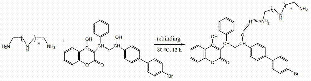 Preparation method of magnetic molecularly imprinted composite material of chiral rodenticide bromadiolone