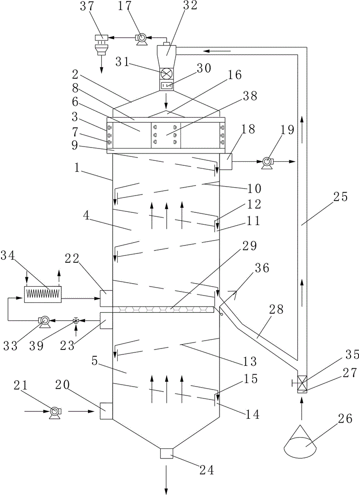 Grain microwave and fluidization combined drying equipment, drying method and application