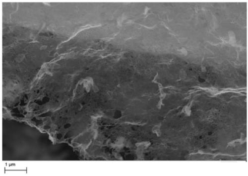 Preparation method for titanium dioxide/carbon nanotube composite nanosheets
