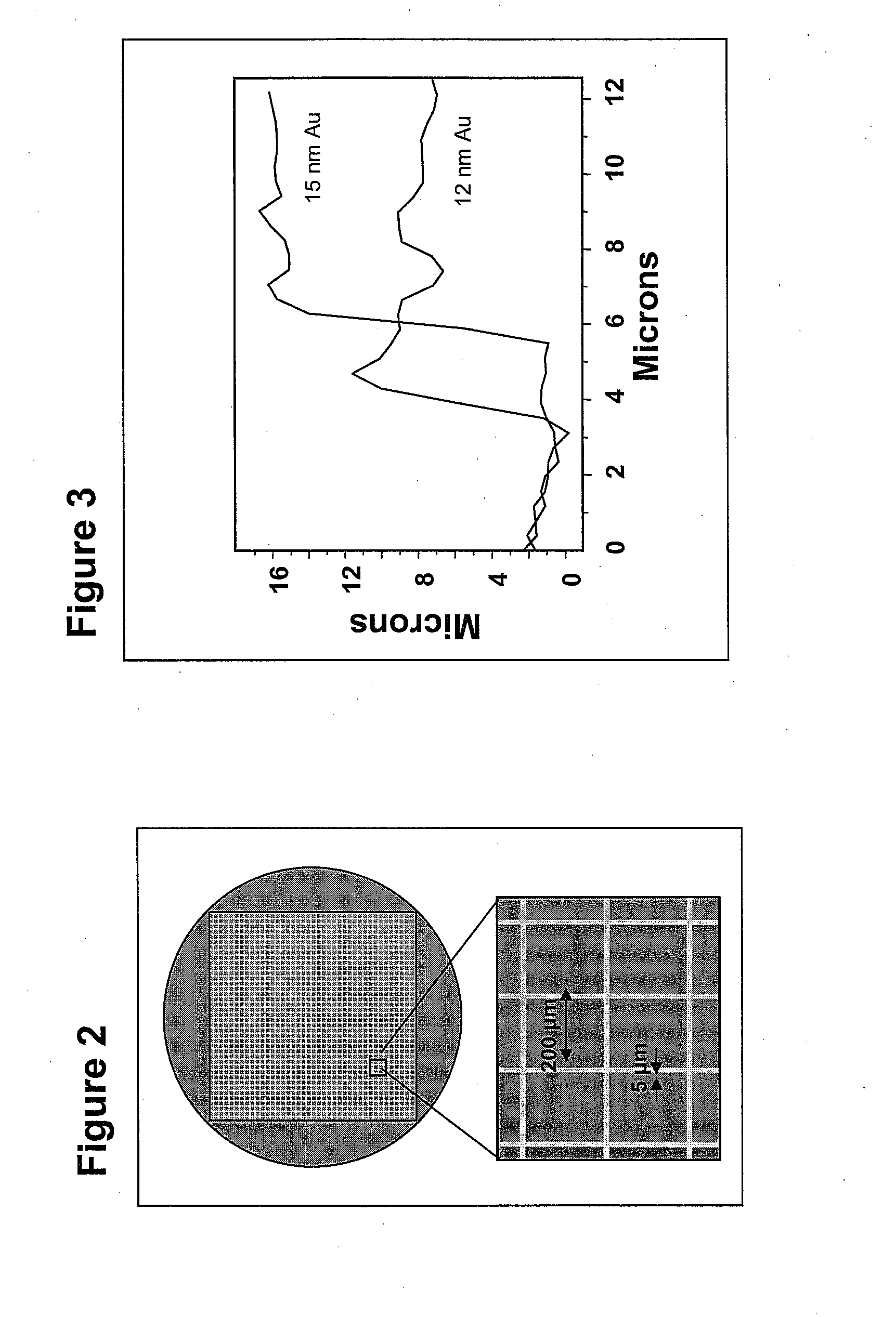 Fiducial Marker for Correlating Images