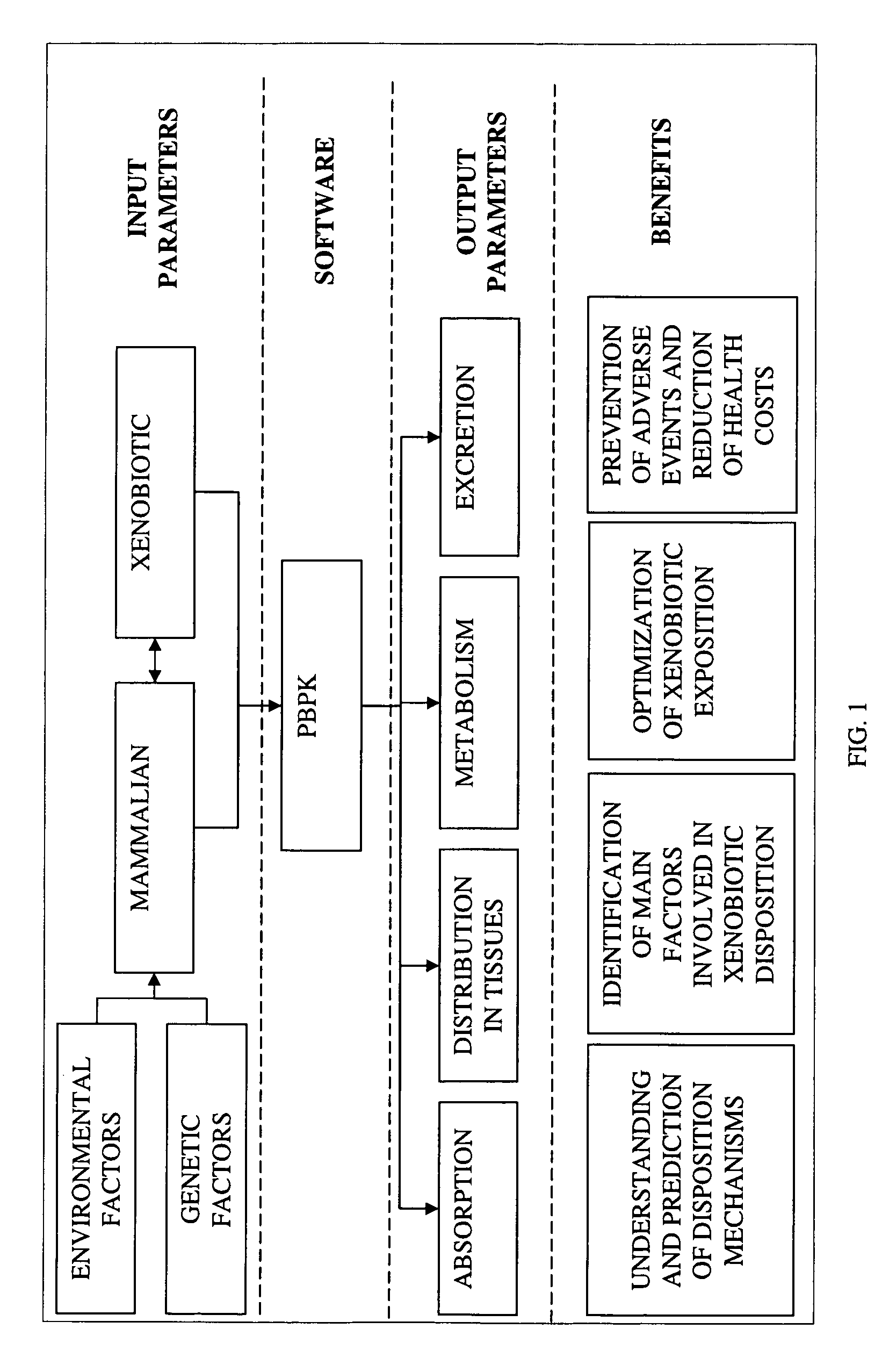 Method of developing a pharmacokinetic profile of a xenobiotic disposition in a mammalian tissue