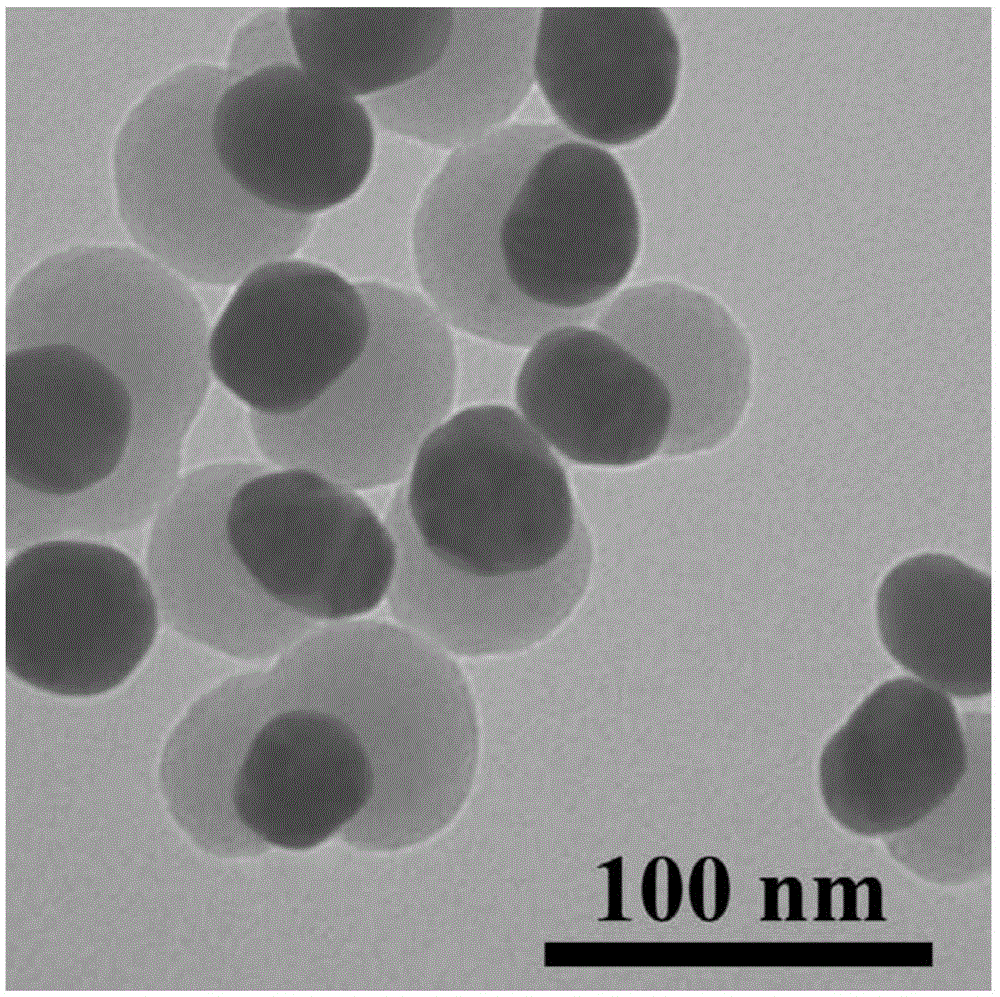 Gold-silicon oxide Janus structure nano particle with high catalytic characteristic and preparation method and application thereof