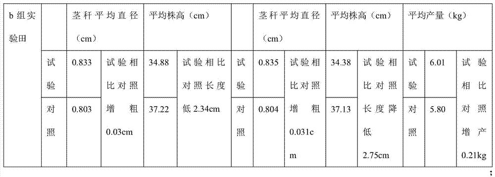 A compound preparation for controlling growth and resisting lodging of Chinese chives