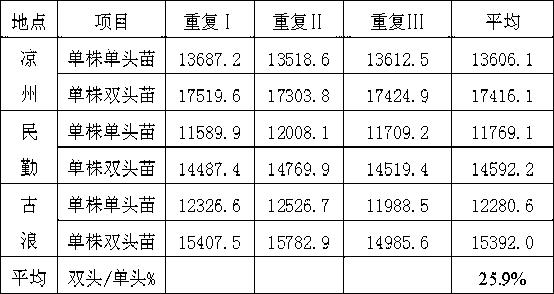 High-yield cultivation method of tomato single-plant double-head seedlings