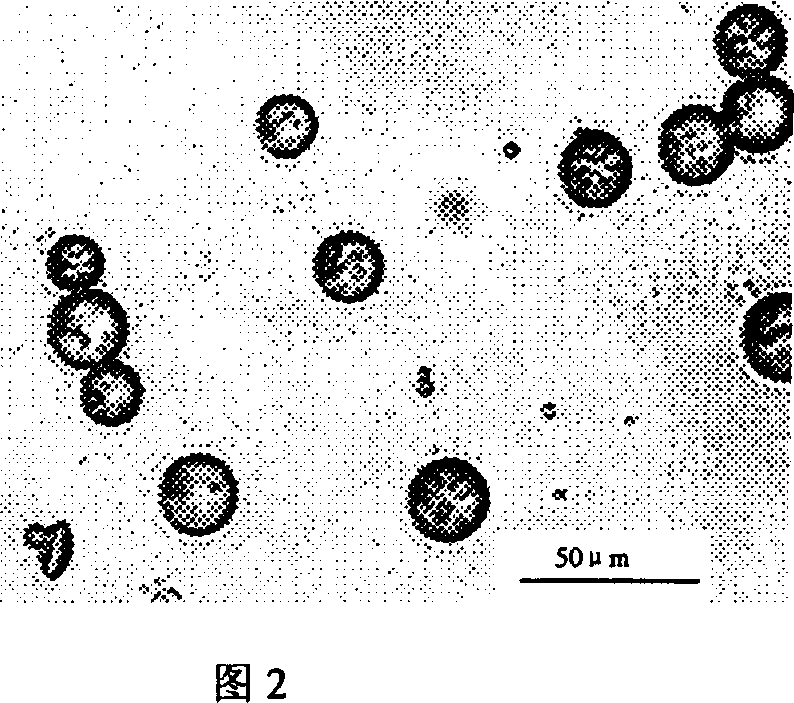 Size-uniform agarose gel microball and its preparing method