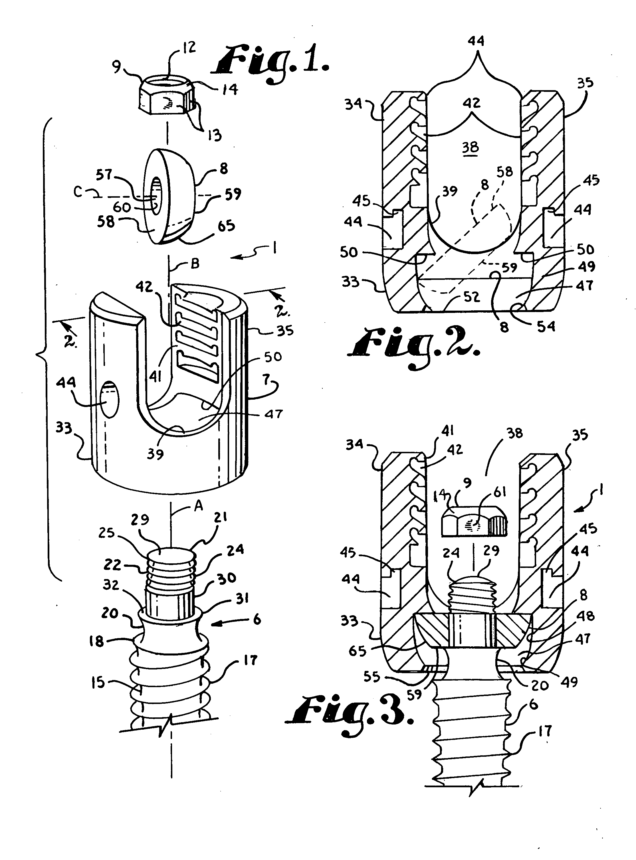 Polyaxial bone screw