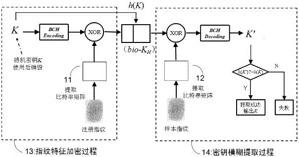 Biometric key extraction method based on fingerprint bit string and error correction coding