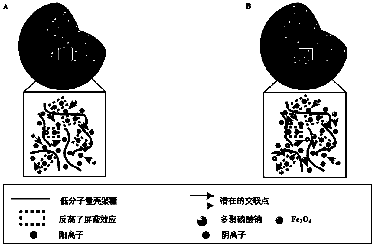 A preparation method and application of a polyelectrolyte nanomaterial loaded with fe3o4