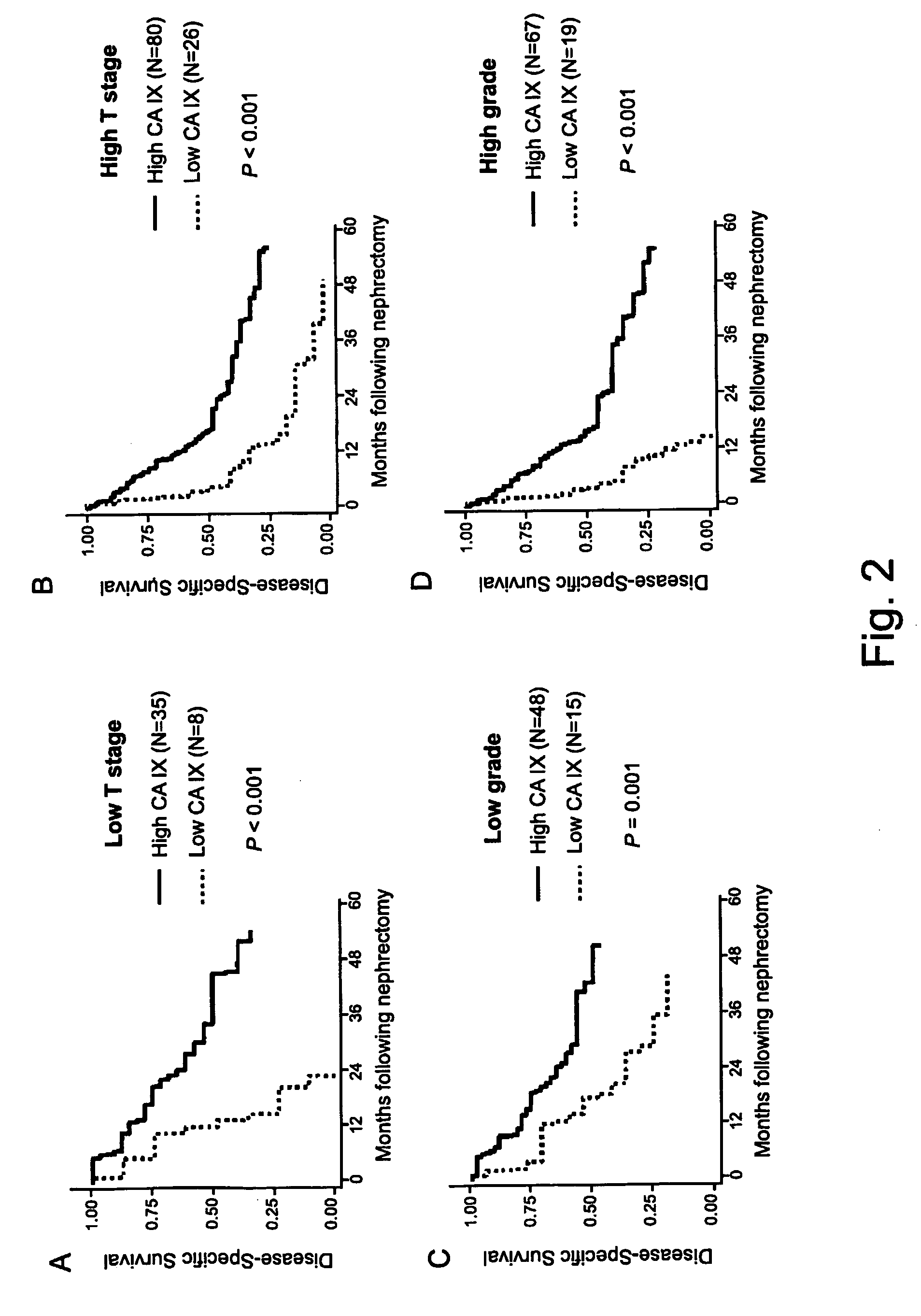 Methods of renal cell carcinoma prognosis and treatment selection with carbonic anhydrase IX