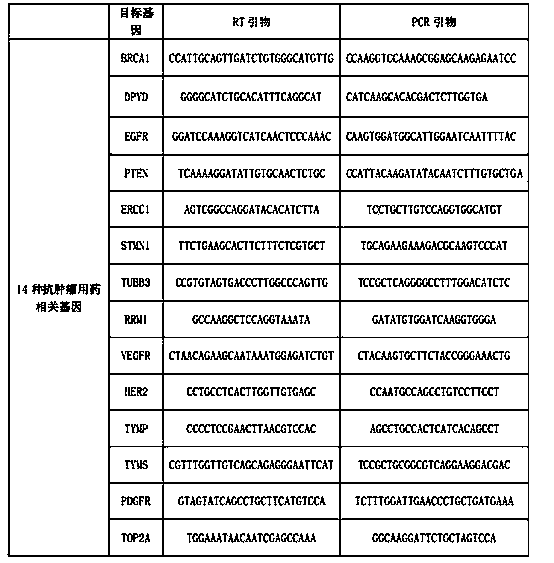 Kit for synchronously detecting related gene expression level of 14 antitumor drugs by using paraffin embedding biopsy sample, and detection method thereof