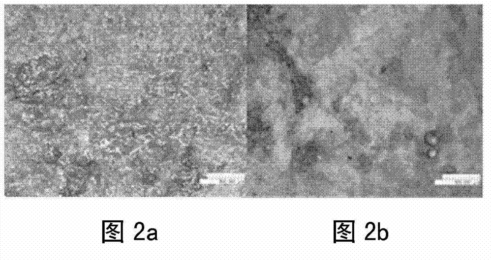 Composite microemulsion cleaning agent for cleaning aged trimethyl resin