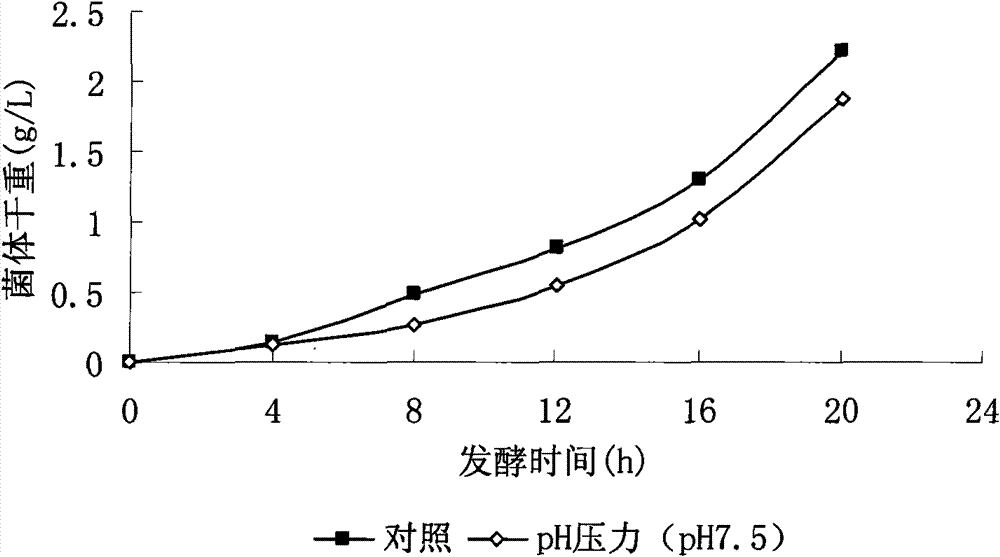 Method for enhancing yield of bacillus fermentation poly-gamma-glutamate by utilizing environmental pressure