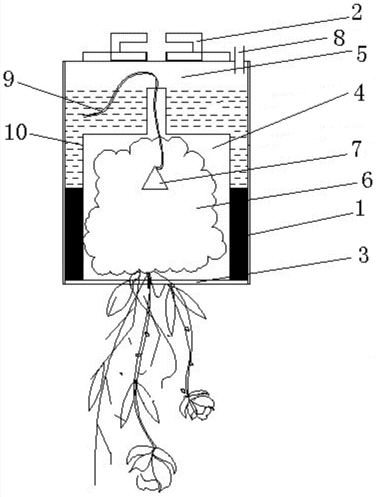 Inversely-hung type three-dimensional green plant culture system