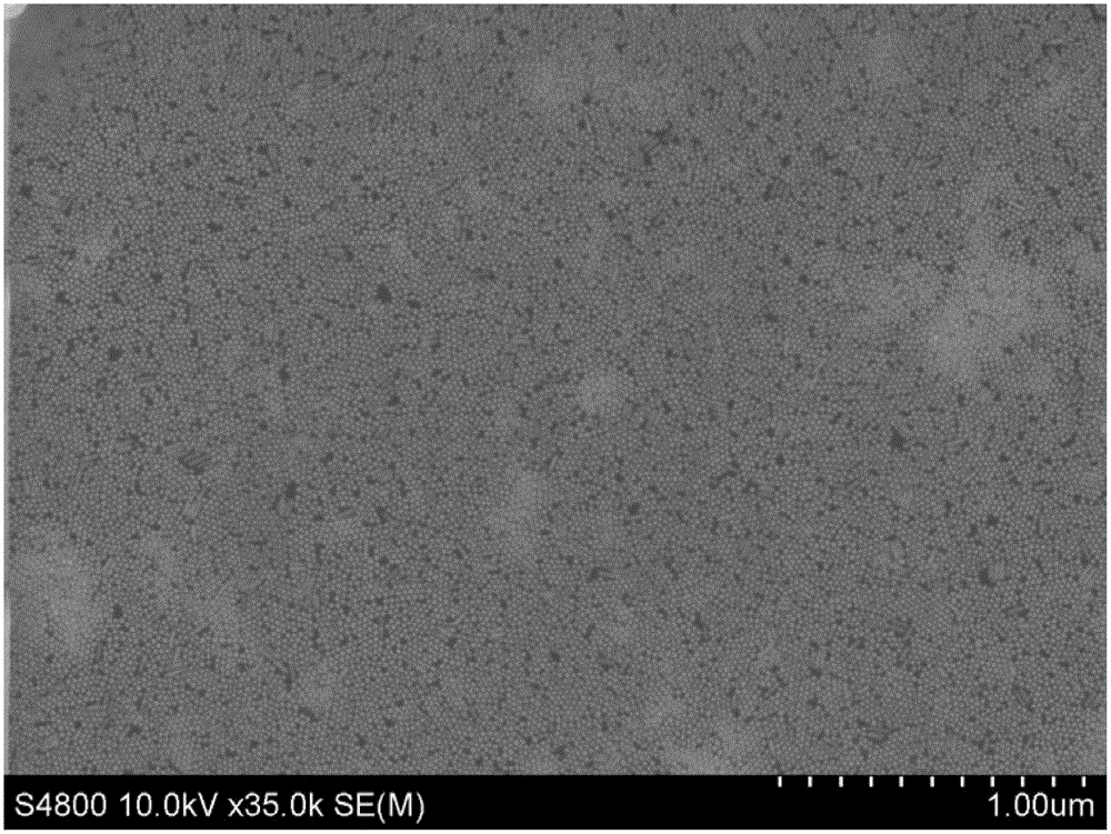 A vertical array of gold nanorods and its preparation method