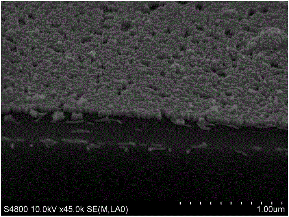 A vertical array of gold nanorods and its preparation method