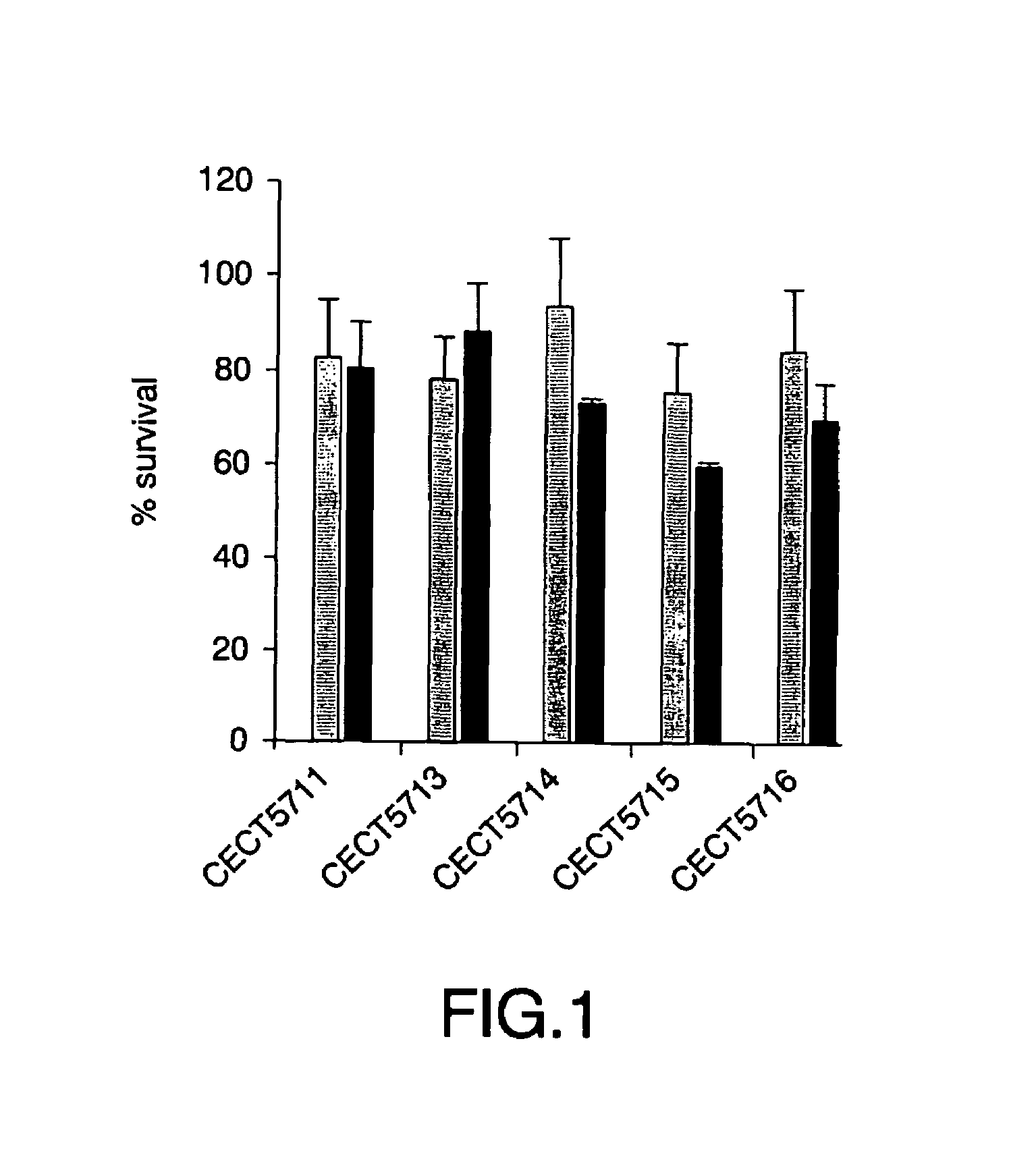 Probiotic strains, a process for the selection of them, compositions thereof, and their use