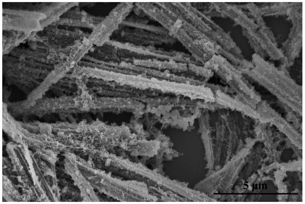 A kind of preparation method of nanotube hierarchical structure lithium titanate and its application and product