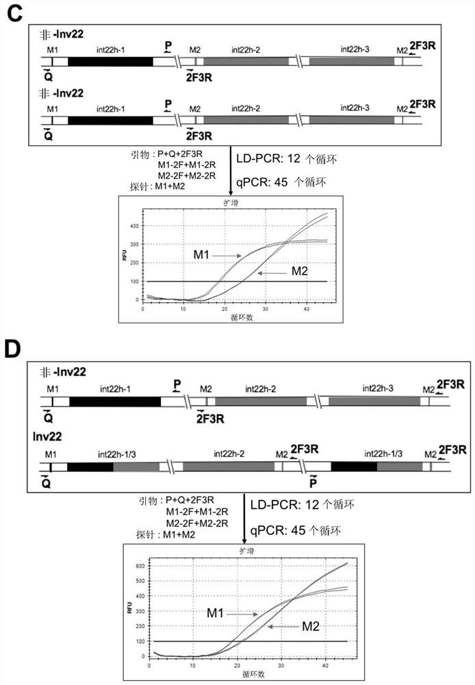 Methods and kits for detecting chromosomal rearrangements