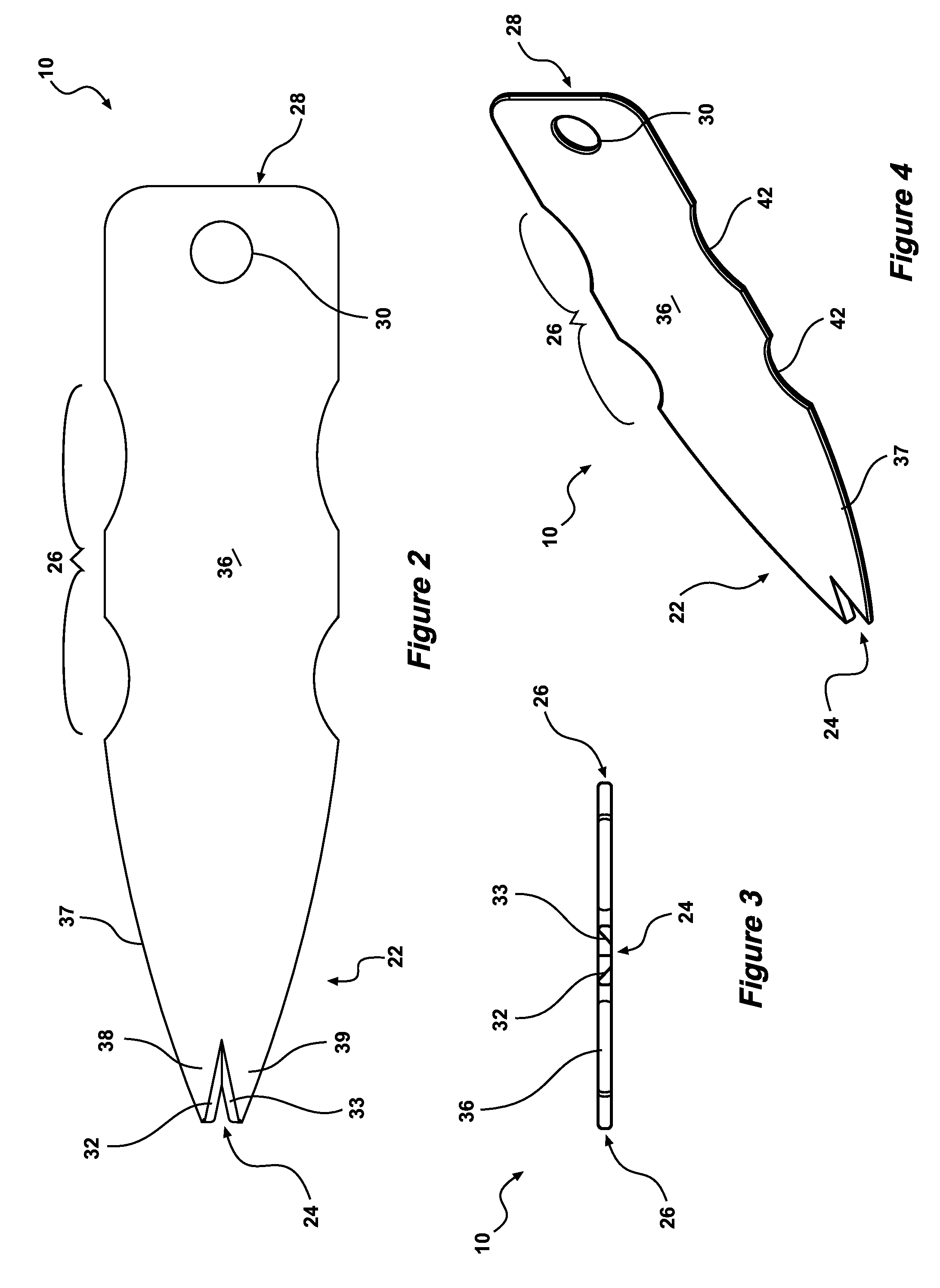 Cephalopod filleting and cleaning apparatus