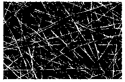 Preparation method of nano micrometer structure coexistence chitosan double-layer support