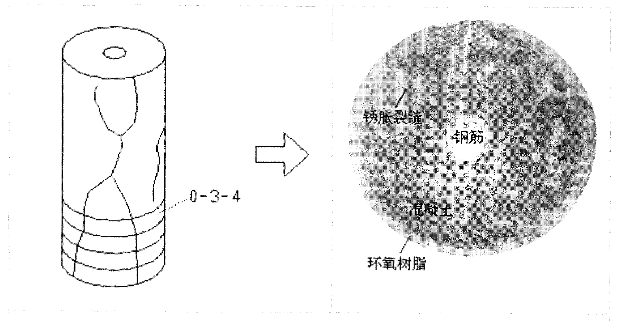 Method for observing rusted cracks of reinforced concrete based on two-stage rust crack model