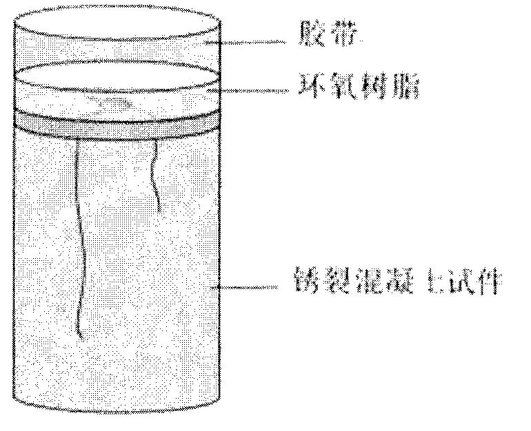 Method for observing rusted cracks of reinforced concrete based on two-stage rust crack model