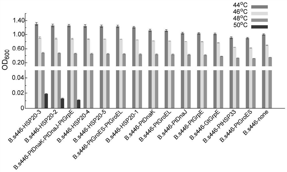 Application of Heat Shock Protein Gene from Thermophilic Bacteria