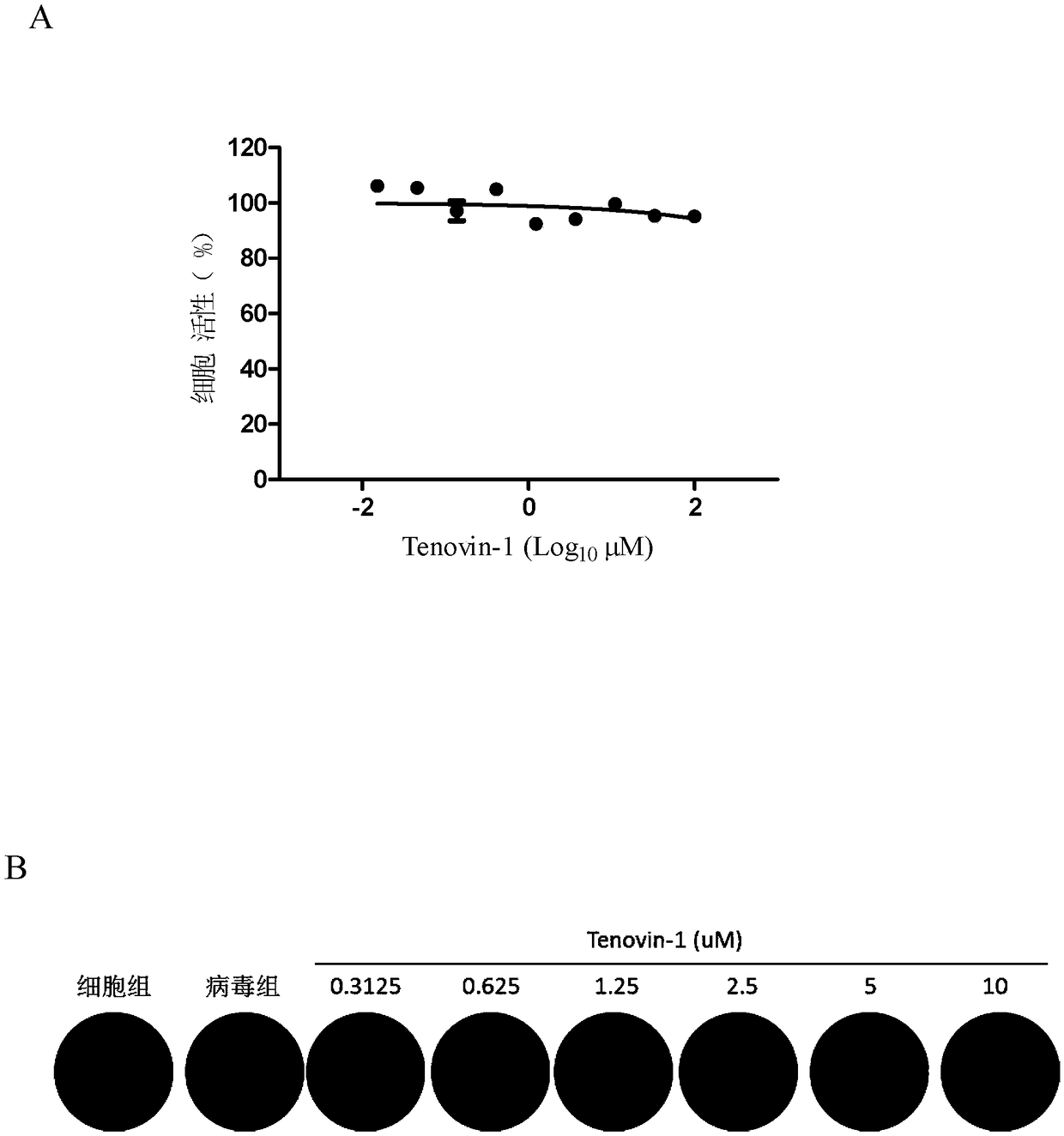 Application of Tenovin-1 in preparing drug for preventing and controlling human herpes virus infection