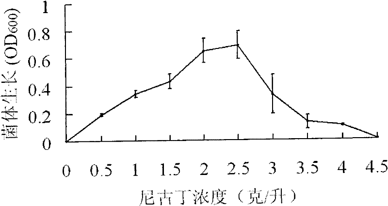 Acinetobacter and application thereof