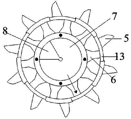 Seeding tray structure assembly and seeding device