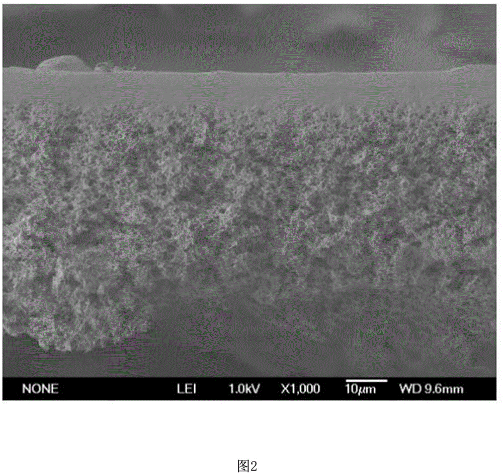 Preparation method of solvent resistant nanofiltration membrane